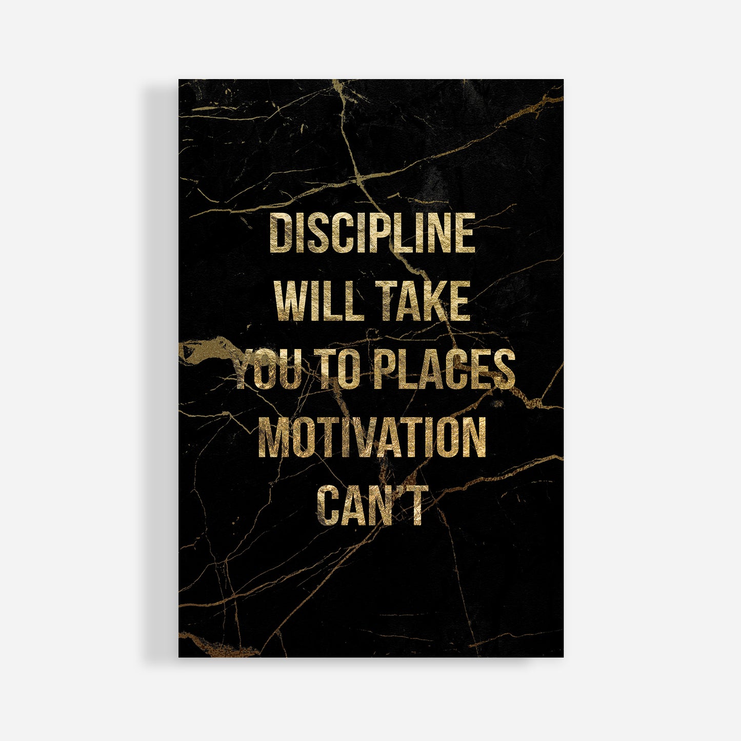 DISCIPLINE